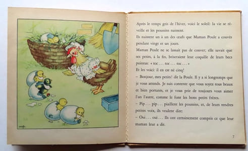 Le poussin noir.