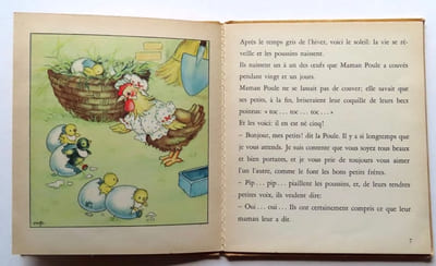 Le poussin noir.