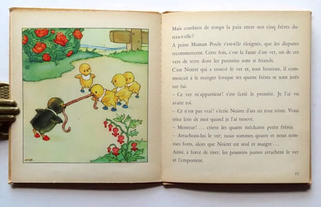 Le poussin noir.