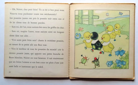 Le poussin noir.