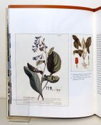 Image de livre