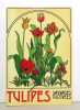 Tulipes sauvages et cultivées. . Stork Adélaïde L. et al.: 