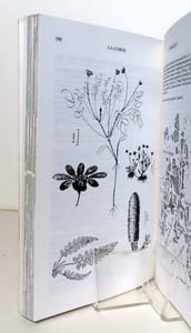 Guides naturalistes des côtes de France - La Corse.