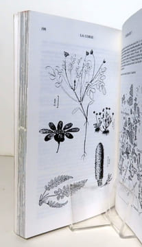 Guides naturalistes des côtes de France - La Corse. . Bournérias Marcel, Pomerol Charles, Turquier Yves: