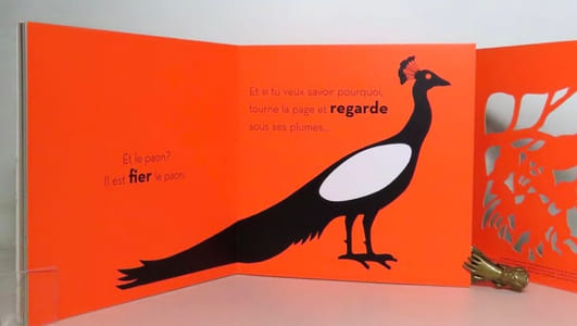 Poils, plumes et mots.