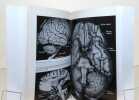 Le cerveau, un inconnu. Dictionnaire encyclopédique. . Gregory Richard L. (dir.) et al. - Université d'Oxford: 