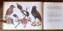 Les oiseaux de chez nous. Volume I: Les oiseaux de chant. . Roshardt Pia (ill.), Hüttenmoser Stephan: 