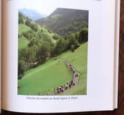 Lieux de pèlerinage en Suisse. Itinéraires et découvertes.  par Rime Jacques:  - Image 2