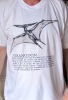 Pteranodon. . [Arjona]: 