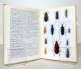 Coléoptères et autres insectes. . Guggisberg C. A. W.: