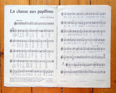 La chasse aux papillons.