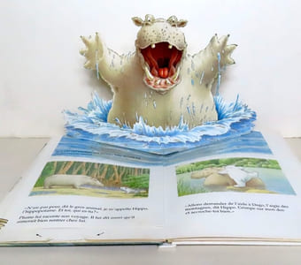 Le voyage de Plume - Livre animé.