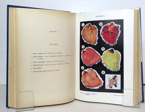Médecine et hygiène populaire à la portée de tous. Traité de l'emploi pratique de la médecine naturelle, homéopathie, biochimie médecine de plantes, ...