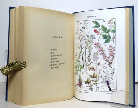 Médecine et hygiène populaire à la portée de tous. Traité de l'emploi pratique de la médecine naturelle, homéopathie, biochimie médecine de plantes, ...