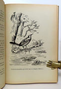 Au grand air.  par Corbaz André et Louise, Matthey de l'Etang (ill.):  - Image 3