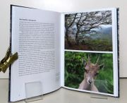 Image de livre