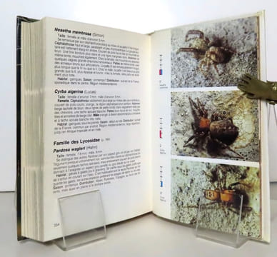 Guide des araignées et des opilions d’Europe. . Jones Dick: 