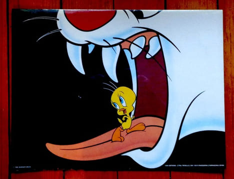 Titi et Grosminet - Langue. . Warner Bros: