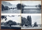 Habitation. 3, 1941: La protection des arbres à Genève - chronique et communiqués. . Collectif - F. Gilliard, Veillard, Edmond Fatio, A. Guyonnet, F. ...