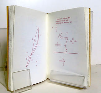 Journal d'un poème.