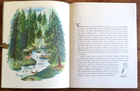 La revanche de la forêt. 