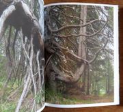 Image de livre
