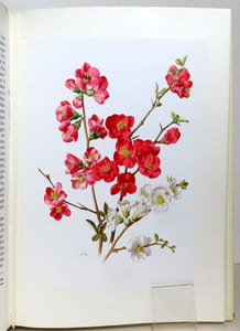 Les plus belles fleurs de nos jardins. I: plantes à bulbes et à rhizomes - II: Plantes vivaces - III: Arbres et arbustes à fleurs.