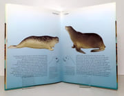Ressemblances - Différences ? par Bischhoff-Miersch Andréa, Faltermayr Christine:  - Image 3