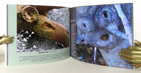 Woodland. Le bestiaire imaginaire. . Boigontier Delvert Bruno:
