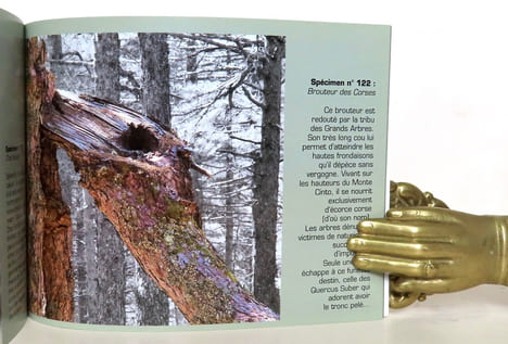 Woodland. Le bestiaire imaginaire. . Boigontier Delvert Bruno: