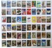 Meine Schweiz, meine Eisenbahn. 100 cartes postales. . SBB-CFF: 