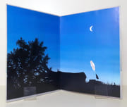 Des oiseaux ordinaires n°2.  par Blachon Roger:  - Image 2