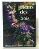 Fleurs des bois. . Rytz Walter: 