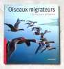 Oiseaux migrateurs en vol vers la Suisse. . Mulhauser Blaise: 