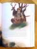 Le livre de la jungle. . Kipling Rudyard, Born Adolf: 