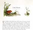 Contes. . Wilde Oscar, Lynch P. J. (ill.): 