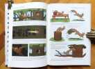 Les contes du lapin. . Rabier Benjamin: 