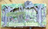 Cache-cache. Un livre animé de la National Geographic Society. . Eugene Toni, Gibson Barbara: 