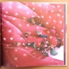 L'amoureux. . Dautremer Rebecca: 