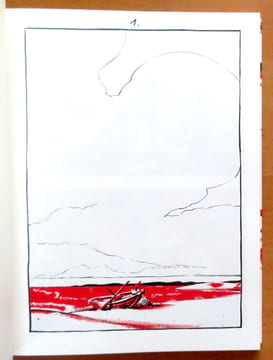 Icarus. . Fior Manuele: