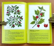 Image de livre