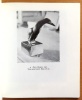 Robert Hainard. Avec une biographie, une bibliographie et une documentation complète sur le peintre et son oeuvre. . [Hainard Robert] Maurice ...