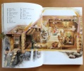 Le livre secret des Gnomes. . Huygen Wil, Poortvliet Rien: 