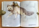 Le livre secret des Gnomes. . Huygen Wil, Poortvliet Rien: 