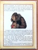 Le lait de la lionne. . Singer J.B., Robillot Henri (ill.): 