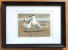 Couple de sternes Hansel. . Hainard Robert: 