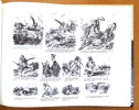 Des-agréments d'un voyage d'agrément. D'après l'édition de 1851. . Doré Gustave: 