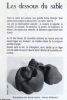 Les dessous du sable. . Galland Anne, Claveloux Nicole: 