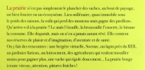 Ciel ! Ma prairie - Aventures paysagères. . Pélegrin Dominique-Louise: 