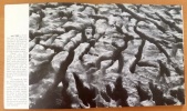 Lapiaz - Anatomie d'un paysage. . Séméniako Michel (photographies), Vinaver Michel: 